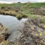 IMG_3511 Hódgát Egerben