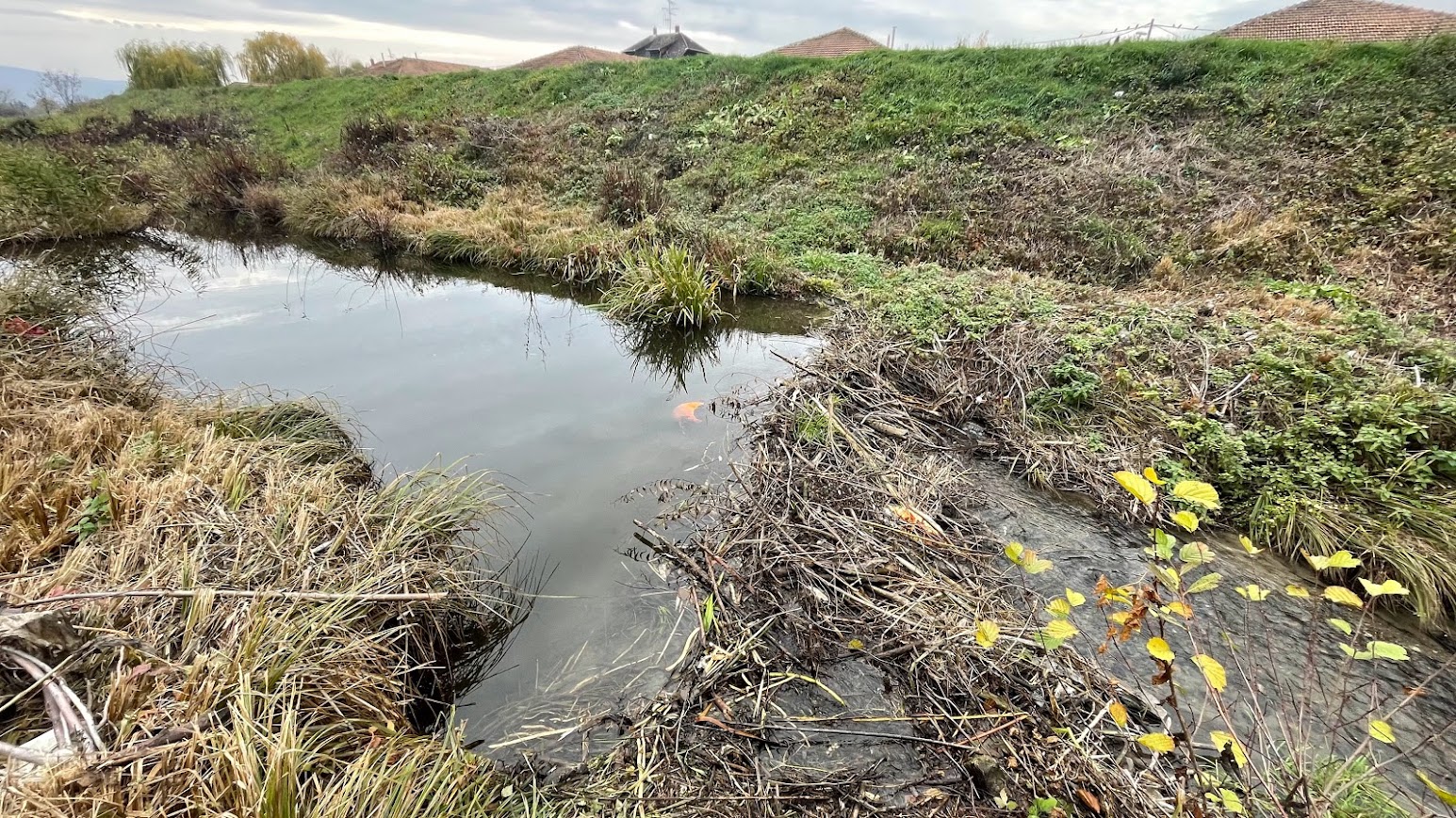 IMG_3511 Hódgát Egerben